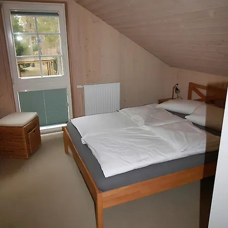 Feenwald - *